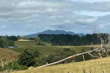 Lot 1, 2 & 4, 3054 State Highway 23, Raglan