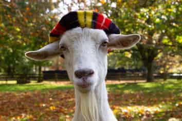 179 Mcgregor Road, Ngahinapouri