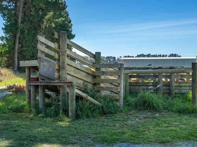 300 Courtenay Road, Charing Cross