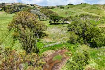 603 Te Akau South Road, Te Akau