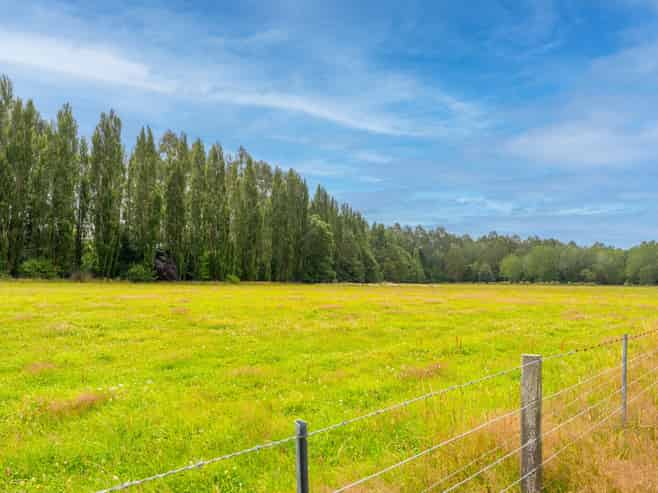 79 Halstead Road, Pleasant Point