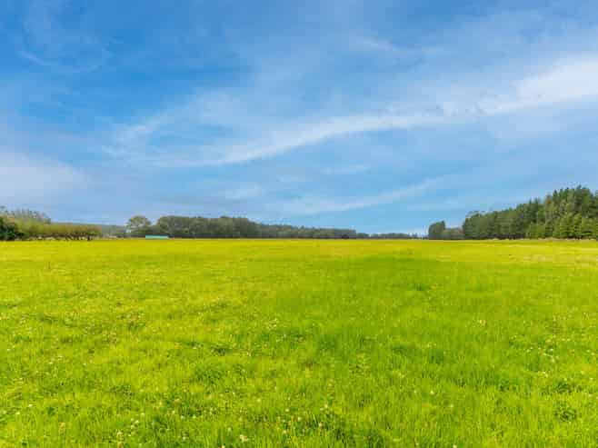 79 Halstead Road, Pleasant Point