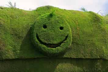 1235 Parnassus Road, Cheviot