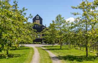 80 Battersea Road, Morrisons Bush