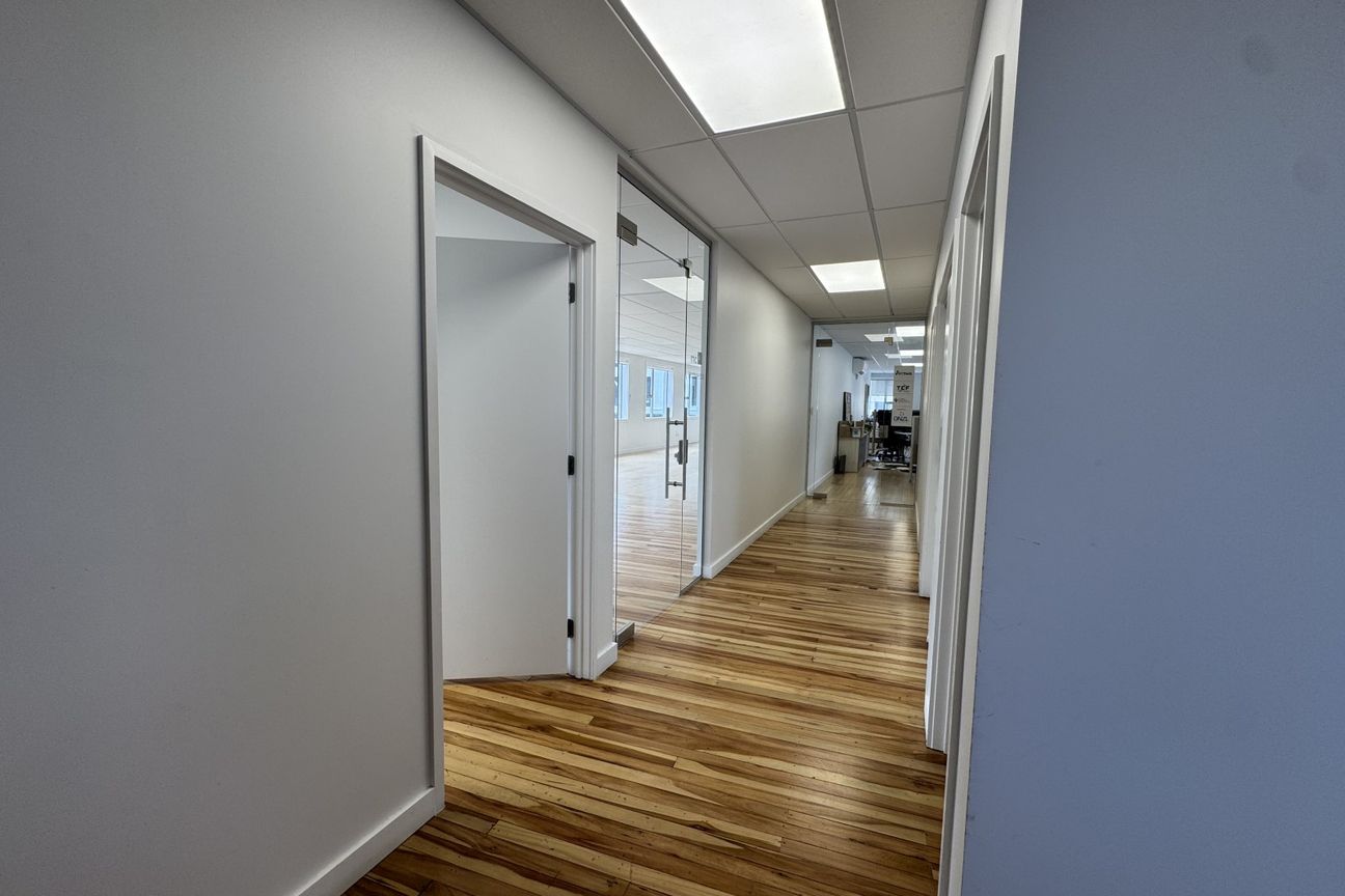 Refurbished Level One Office | 139 m² - Vista 4