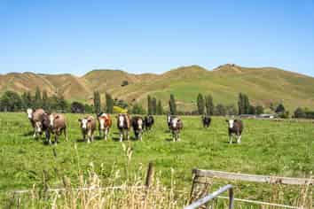650 Waitohu Valley Road, Manakau