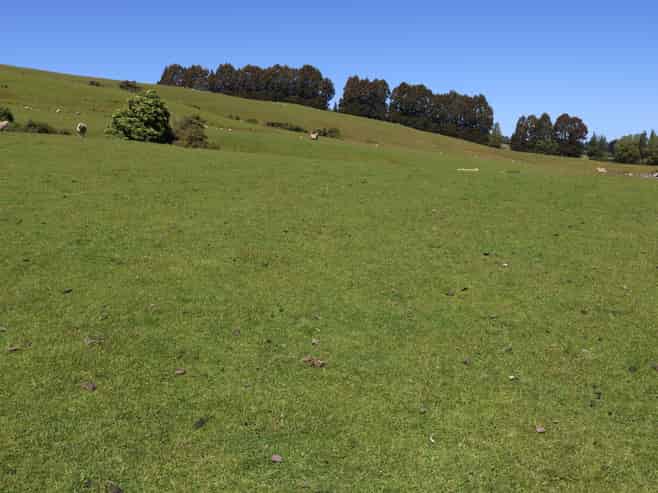 305 Lynwood Road, Te Anau