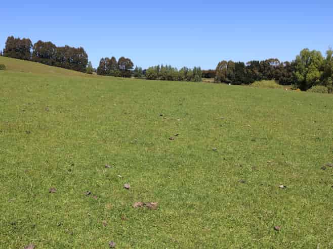 305 Lynwood Road, Te Anau