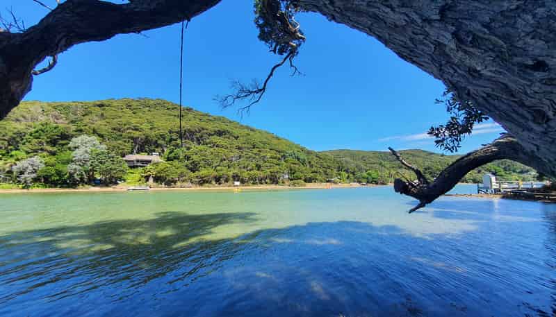 Lot 138/DP4961 North Cove, Kawau Island