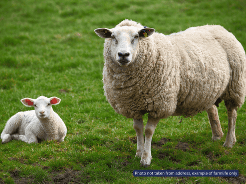 157 Newman Road, Silverdale