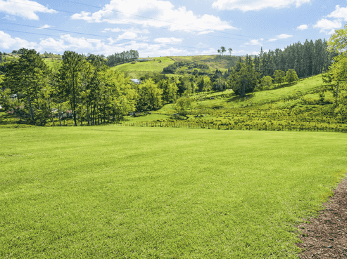 157 Newman Road, Silverdale