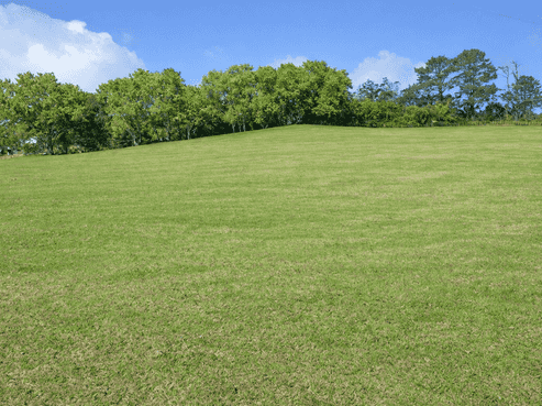 157 Newman Road, Silverdale