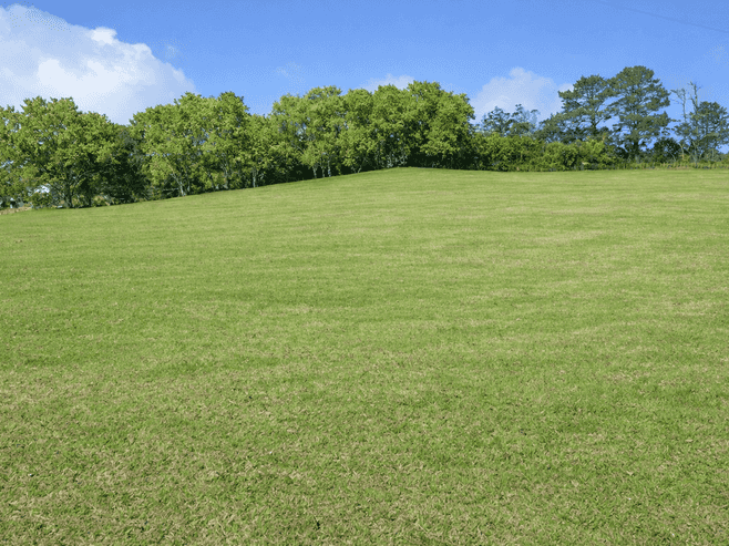 157 Newman Road, Silverdale