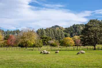 1839D Longbush Road, Gladstone