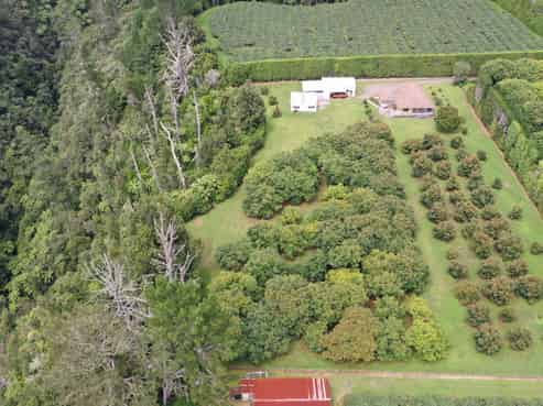 721 No 3 Road, Te Puke