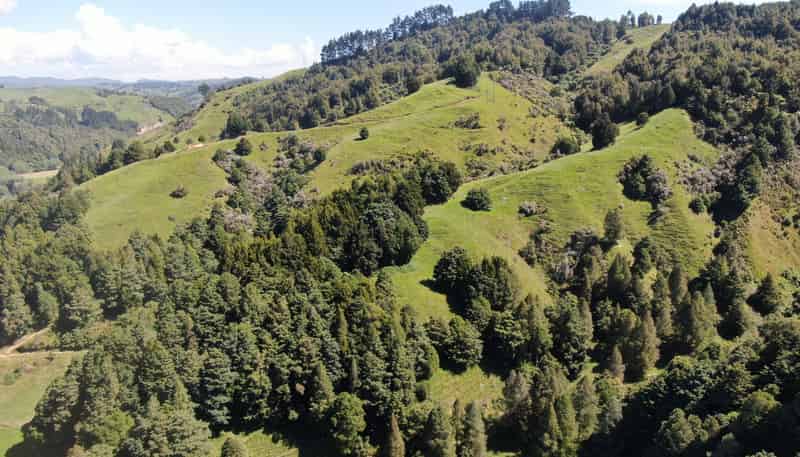 1822 Otewa Road, Waimahora
