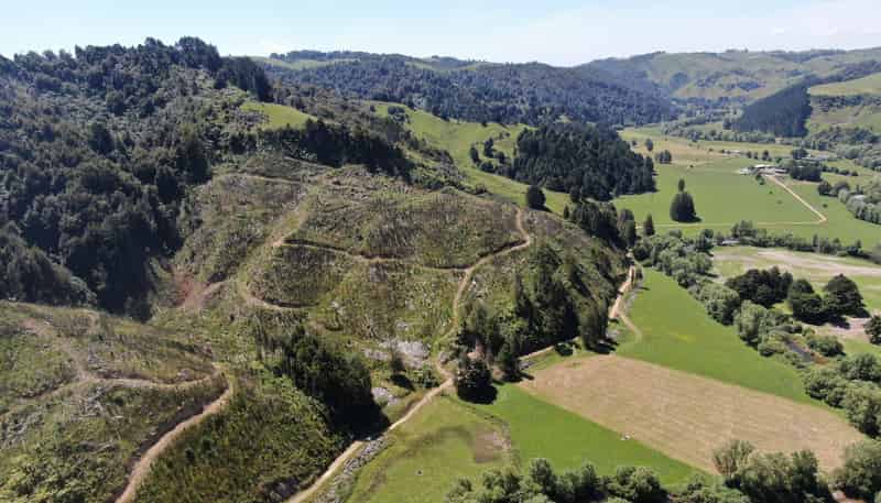 1822 Otewa Road, Waimahora