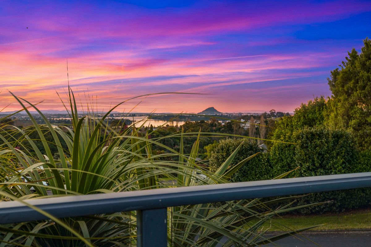 Elevated Living with Space, Views & Opportunity - Vista 3