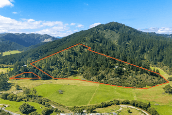364 Onamalutu Road, Wairau Valley