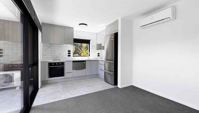 1/9 Francis Street, Grey Lynn