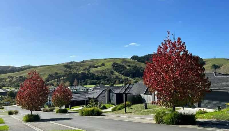 18 Awa Avenue, Helensville