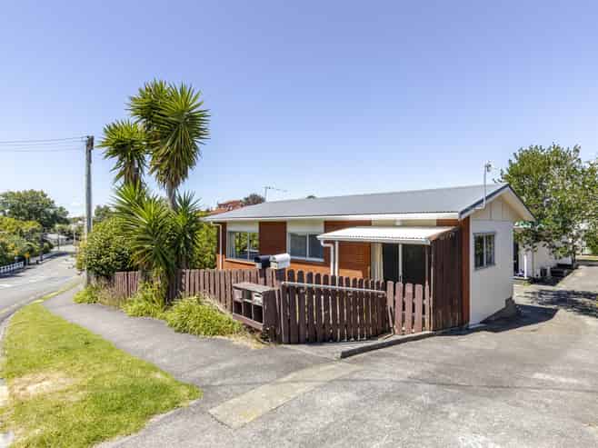 1/24 Hori Street, Vogeltown