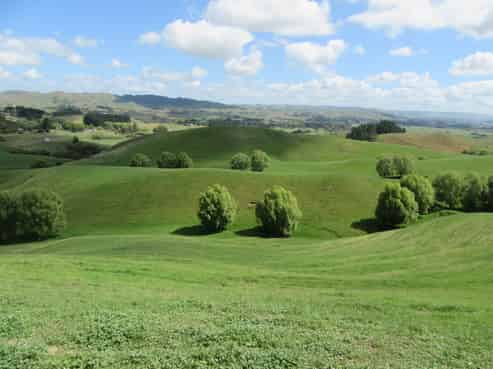 153 Homewood Road, Waipawa