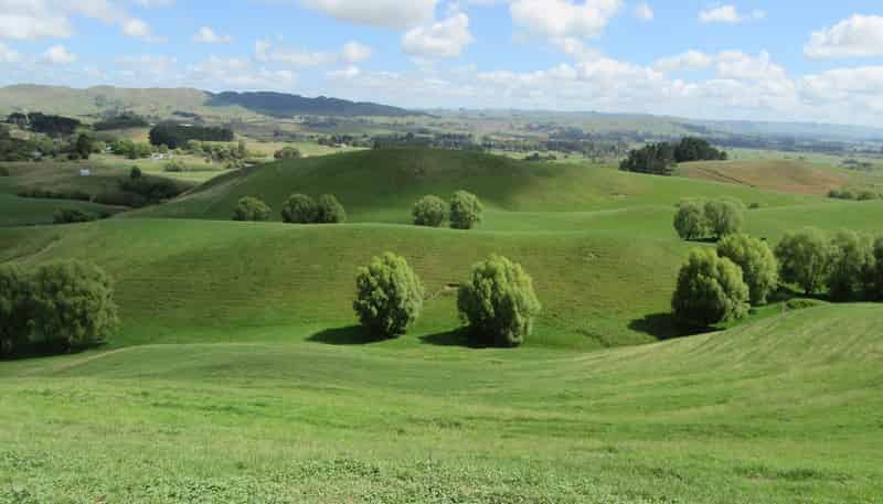 153 Homewood Road, Waipawa