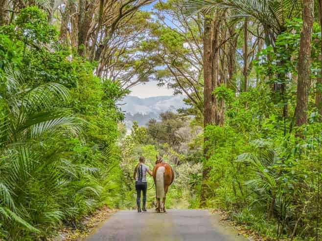  101 Taylor Road, Waimauku