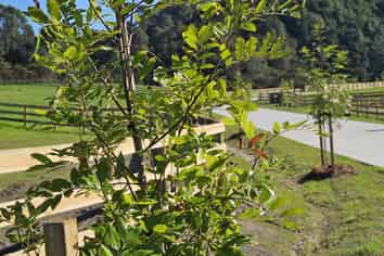 948 Coatesville Riverhead Highway, Riverhead