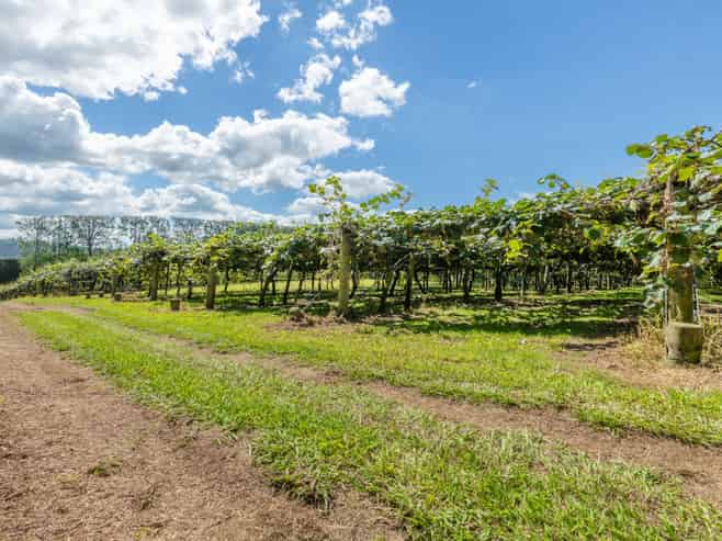 169 Kauri Point Road, Tahawai