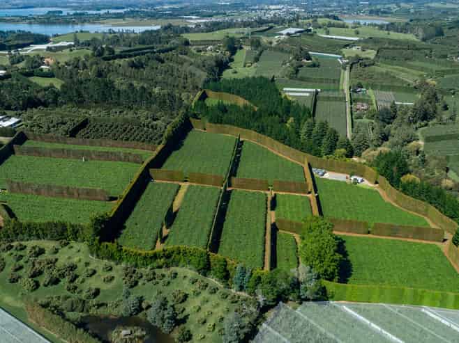 169 Kauri Point Road, Tahawai