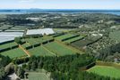 169 Kauri Point Road, Katikati, Western Bay Of Plenty, Bay of Plenty