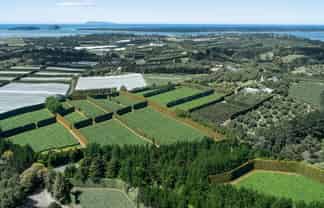 169 Kauri Point Road, Tahawai