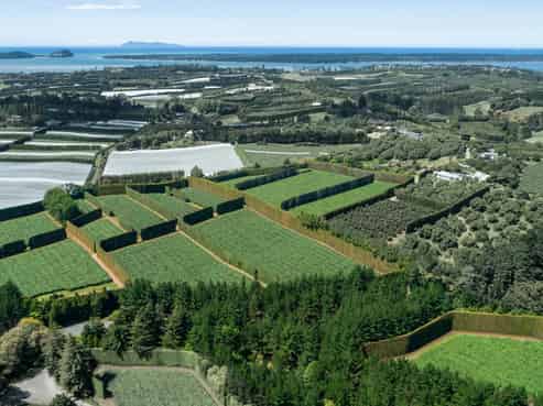 169 Kauri Point Road, Katikati