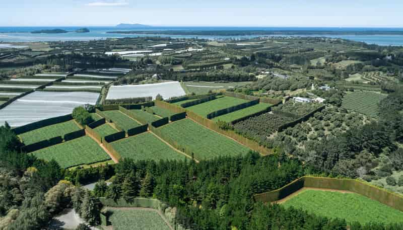 169 Kauri Point Road, Tahawai