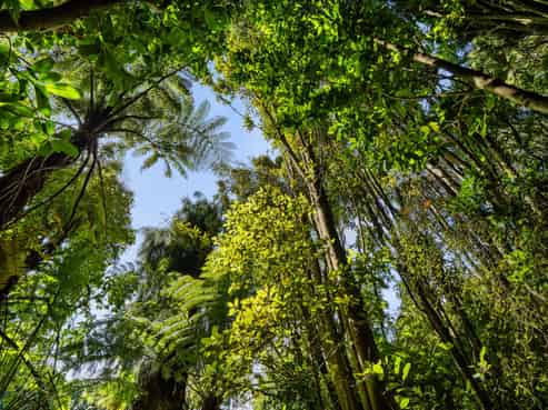 Lot 3 6A Waiata Road, Te Puna