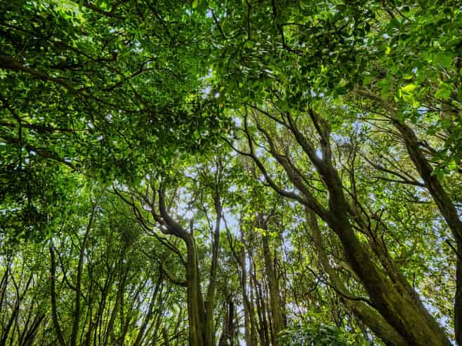 Lot 3 6A Waiata Road, Te Puna