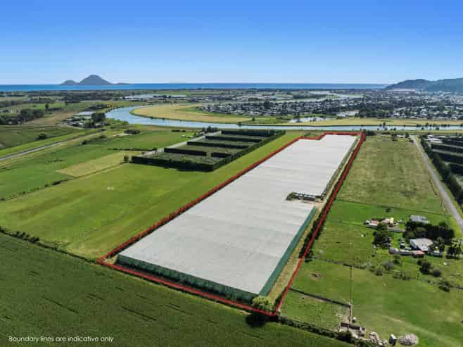 278 Paroa Road, Whakatane Surrounds