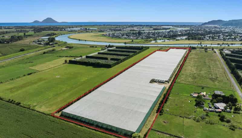 278 Paroa Road, Whakatane Surrounds