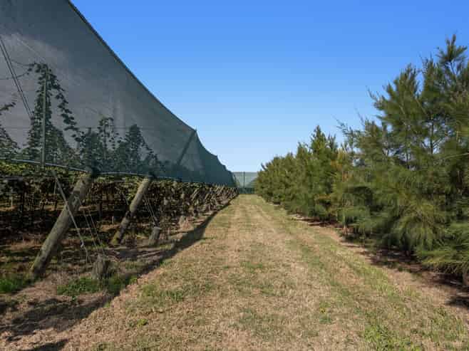 278 Paroa Road, Whakatane Surrounds