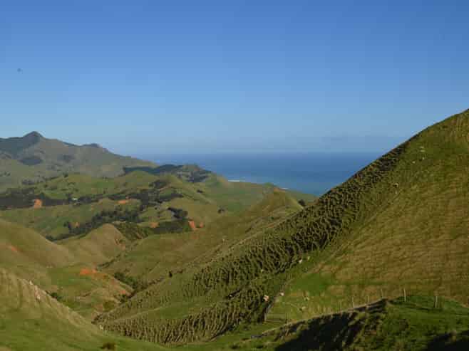 1295 Marokopa Road, Marokopa