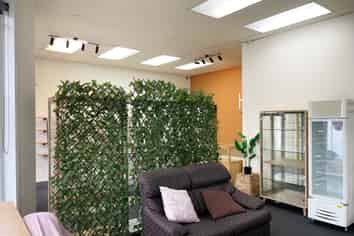 Albany Street Retail/Offices 