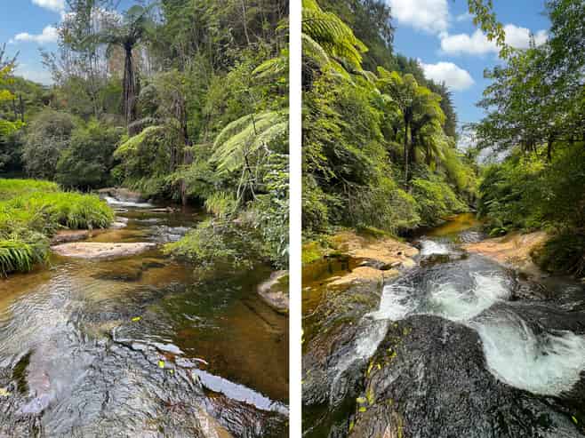 18B Plummer Road, Whakamarama