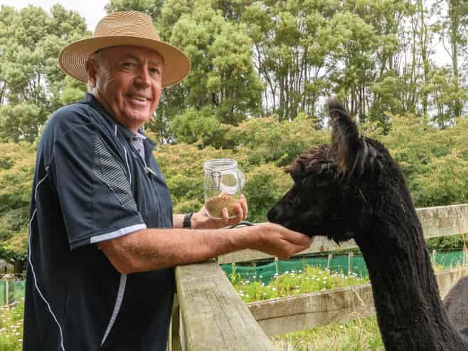 18B Plummer Road, Whakamarama