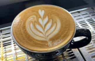 THRIVING NORTH SHORE CAFÉ FOR SALE
