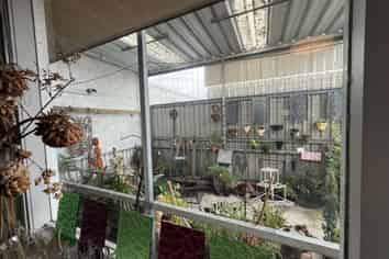 Stand Out in Havelock North