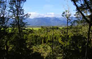 5/1290 Tanglefern Row, Charleston