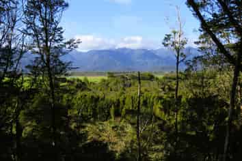 5/1290 Tanglefern Row, Charleston