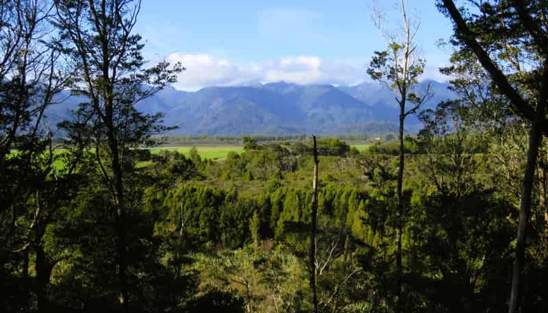 5/1290 Tanglefern Row, Charleston